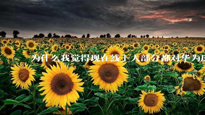 为什么我觉得现在线上大部分都对华为反感，线下华为大卖?