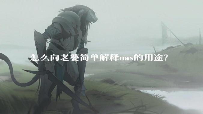 怎么向老婆简单解释nas的用途？